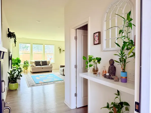a living room with furniture and a potted plant
