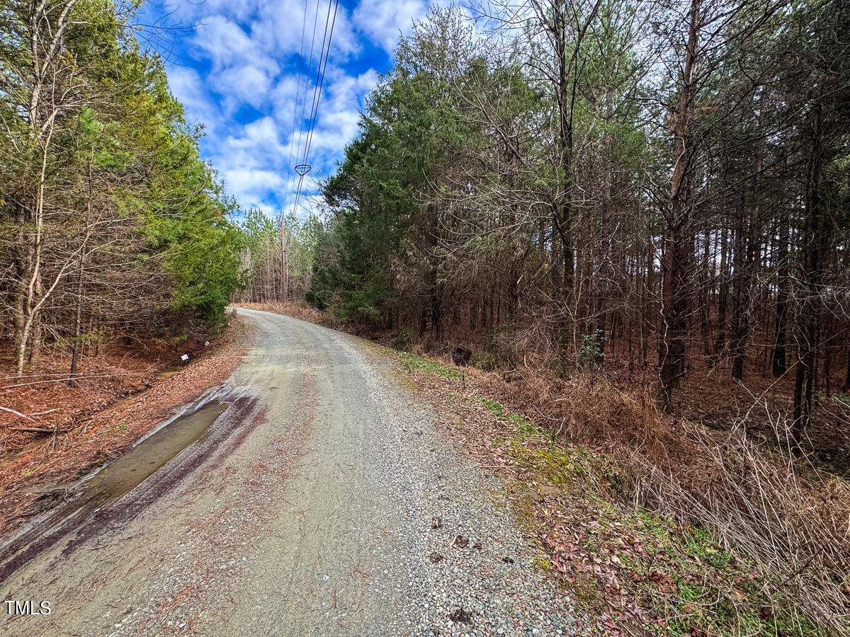 0 Southern High School Road Graham, NC 27253 - Photo 5 of 61 Alamance Co. NC 5.98-Backwoods-The Oaks-