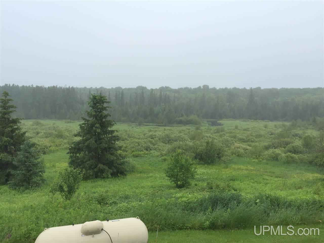 3054 Country Lane Rd Road Eben Junction, MI 49825 - Photo 23 of 28