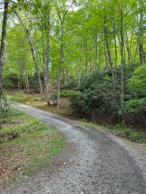 225 Ridge Line Trail Independence, VA 24348 - Photo 44 of 45 Gallery Image 44