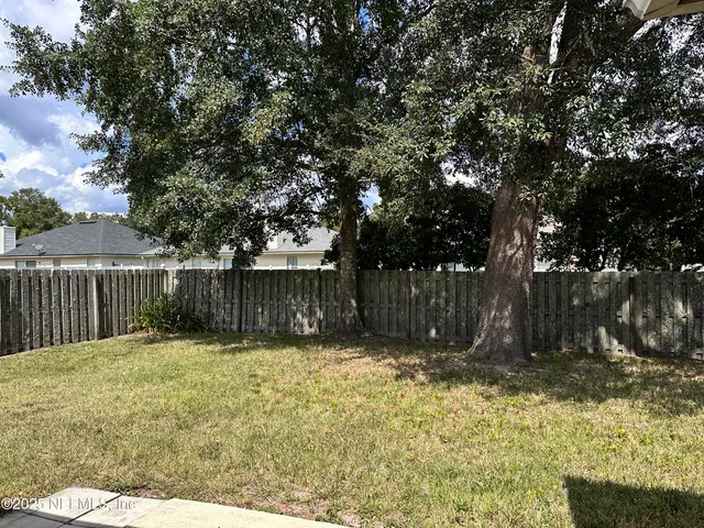 a view of backyard with tree