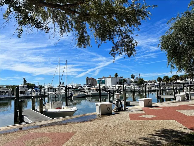 a view of a patio yard