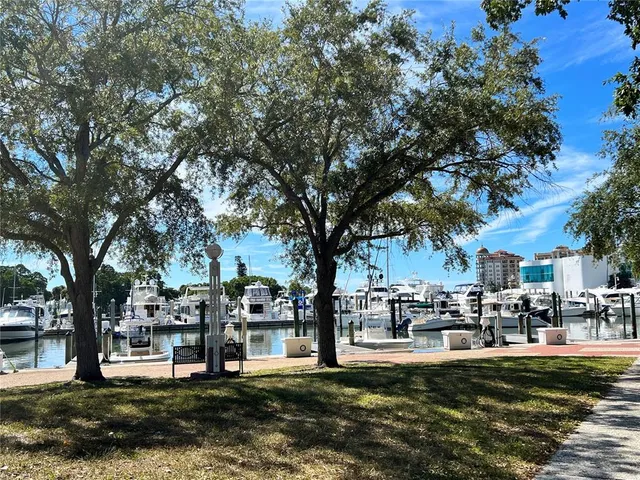 a view of a park with large trees