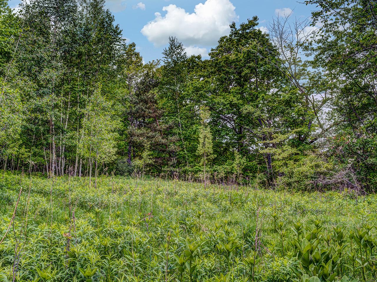 On Hill Road Phelps, WI 54554 - Photo 5 of 10 Gallery Image 5