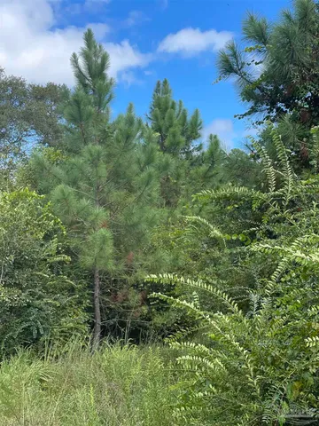 a view of a green field