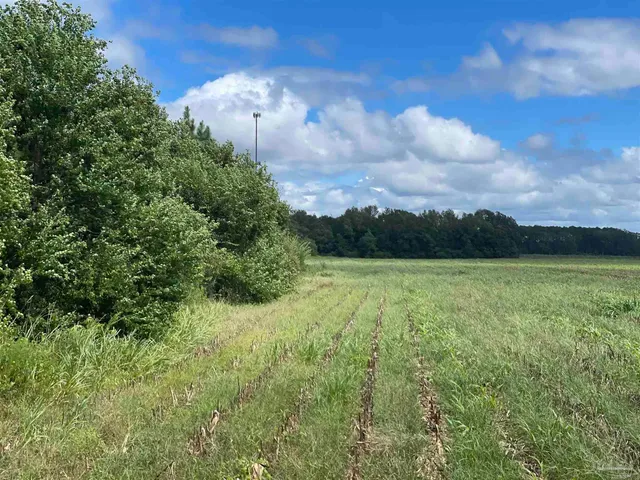 a view of an ocean and beach