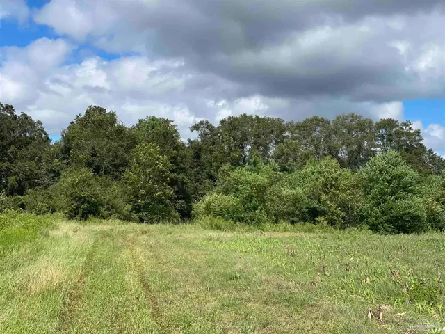 a view of a big yard of a house with a yard