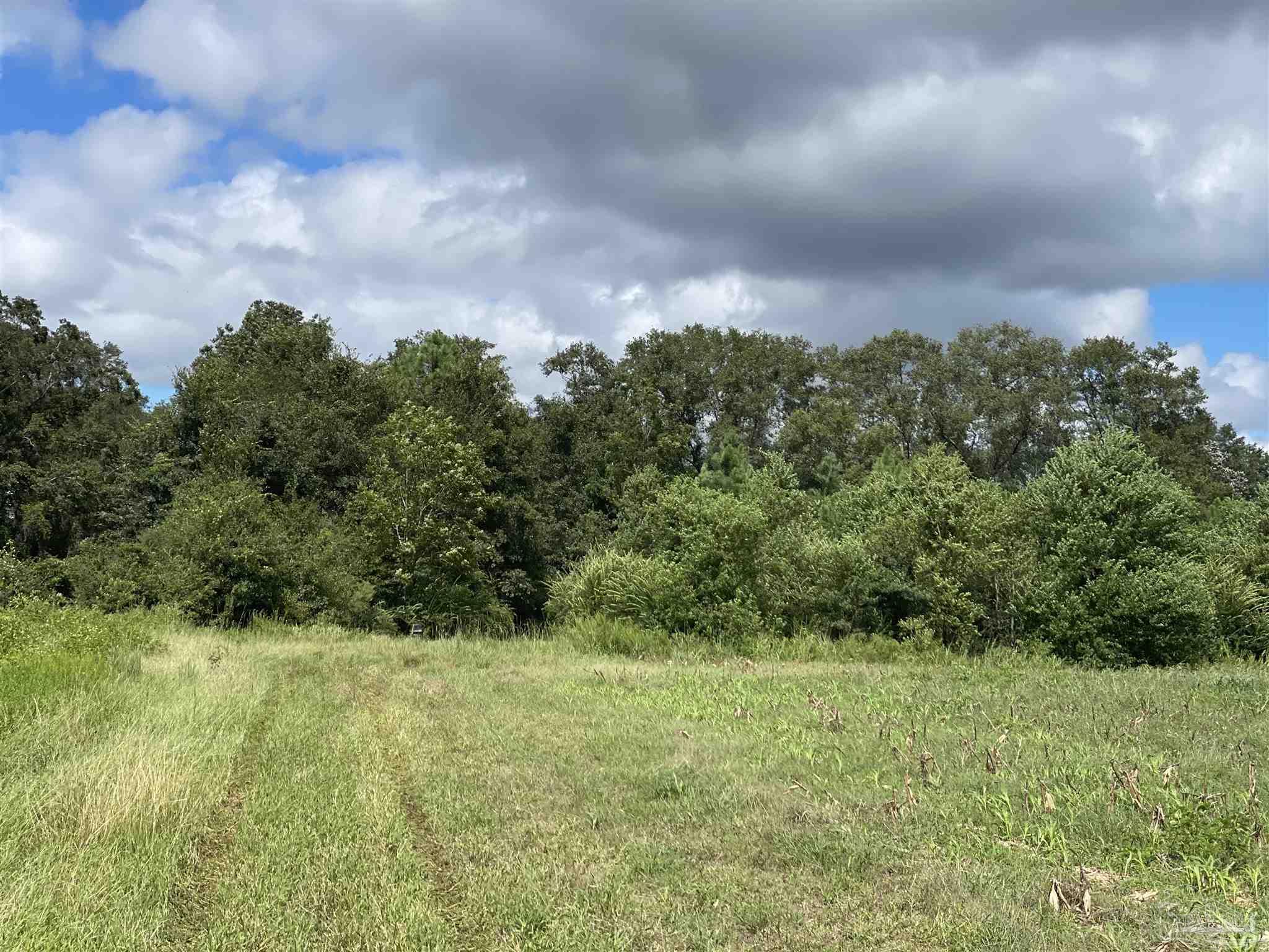 5700-block Pine Forest Road Walnut Hill, FL 32568 - Photo 14 of 44 a view of a green field
