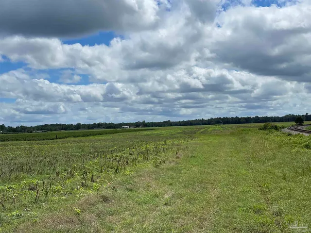 a view of an ocean and beach