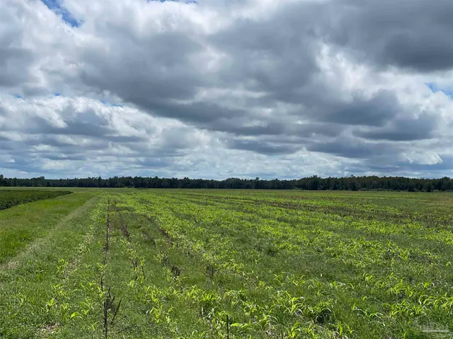 a view of swimming pool and valleys in the background