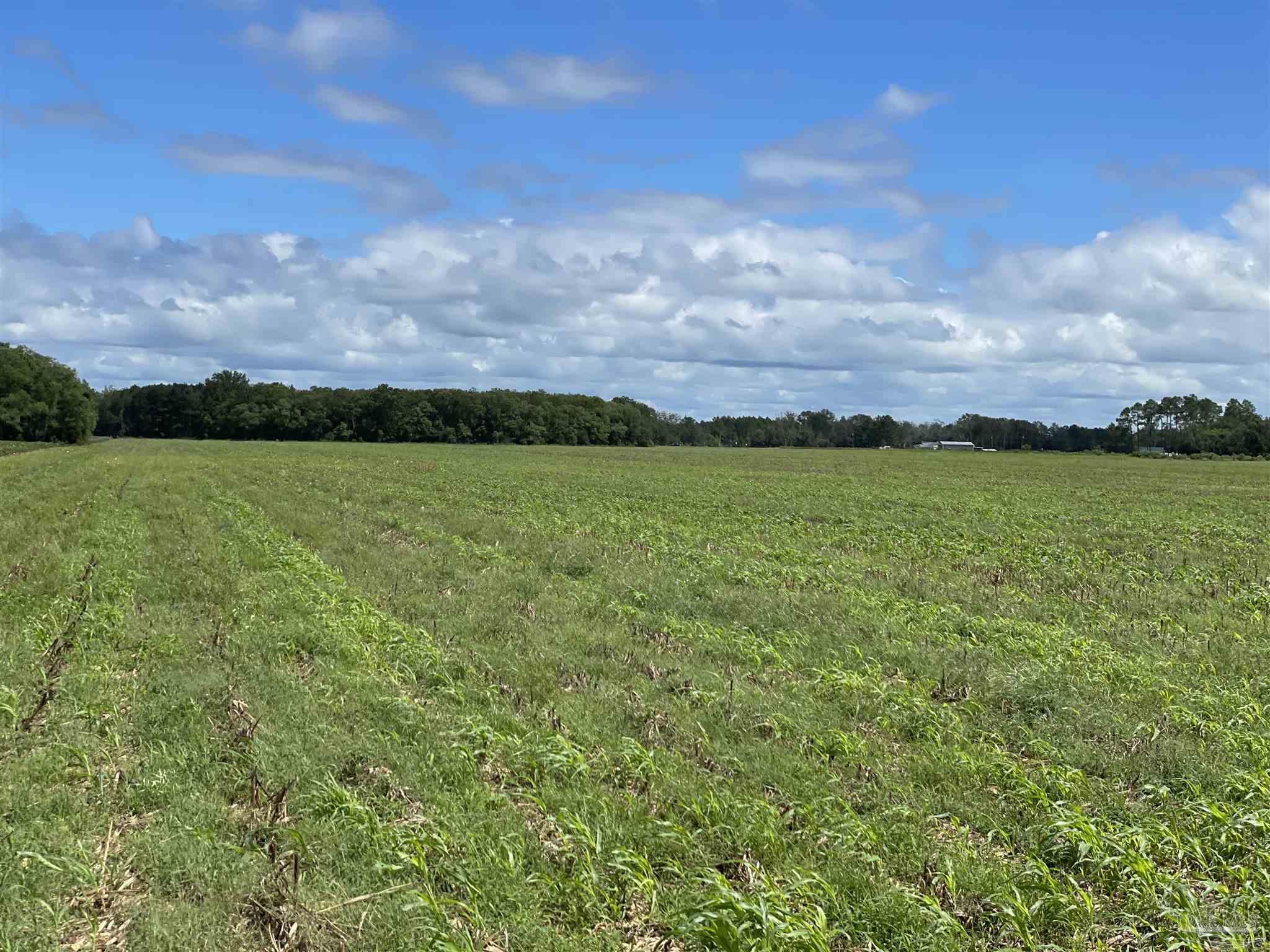 5700-block Pine Forest Road Walnut Hill, FL 32568 - Photo 19 of 44 a view of an ocean and beach