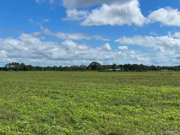 $2,480,000 | 5700-block Pine Forest Road, Walnut Hill, FL 32568