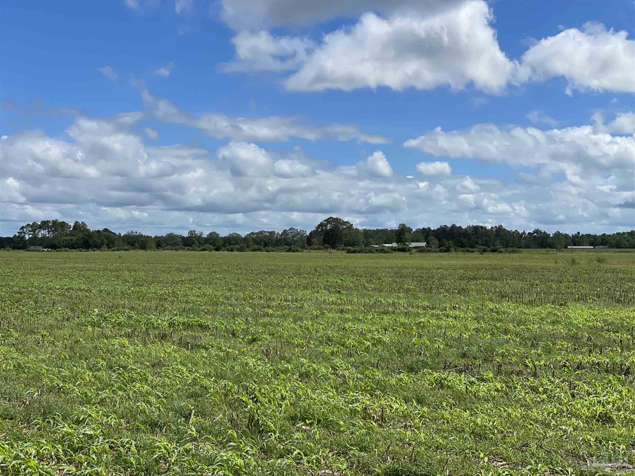 5700-block Pine Forest Road Walnut Hill, FL 32568 - Photo 20 of 44 a view of a city