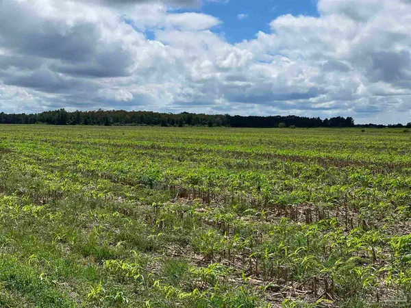 $2,480,000 | 5700-block Pine Forest Road, Walnut Hill, FL 32568