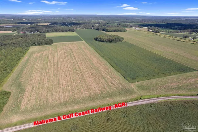 a view of beach and ocean