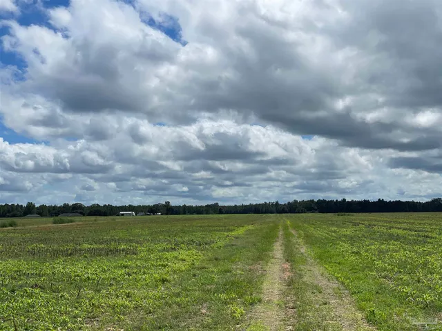 a view of an outdoor space and a yard