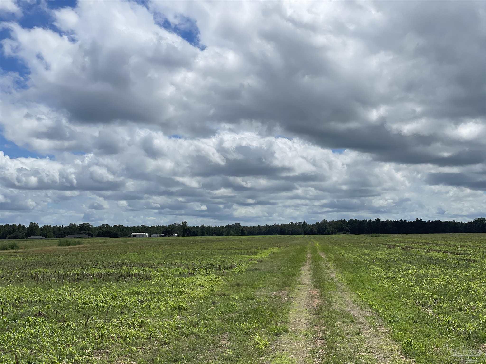 5700-block Pine Forest Road Walnut Hill, FL 32568 - Photo 21 of 44 a view of swimming pool and valleys in the background