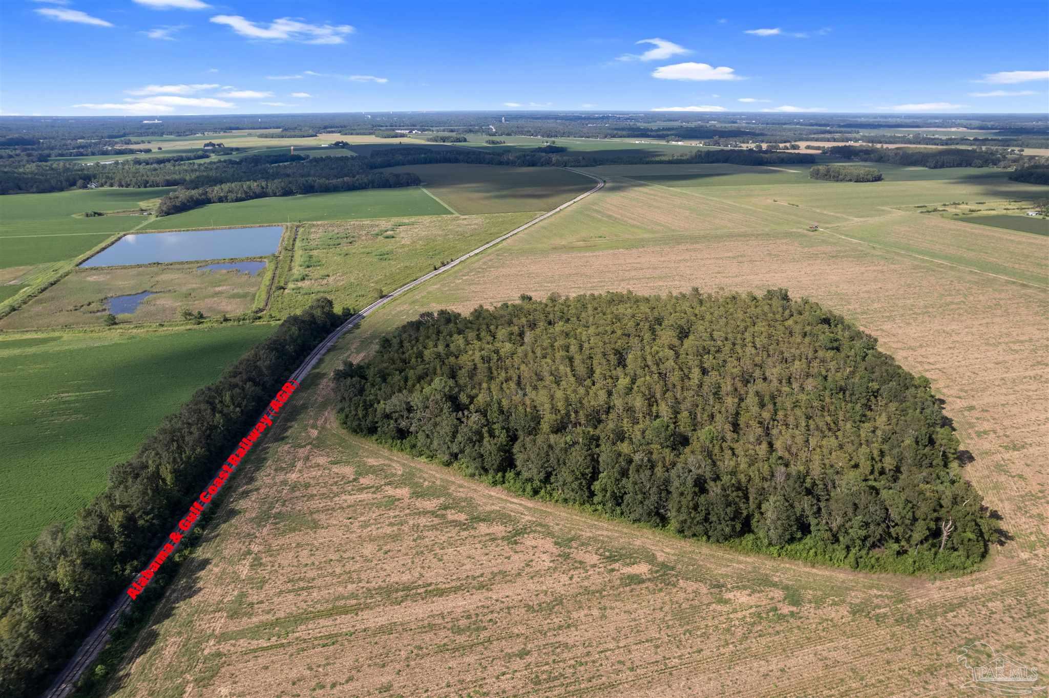 5700-block Pine Forest Road Walnut Hill, FL 32568 - Photo 23 of 44 a view of an ocean and a beach