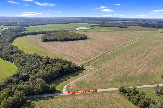 a view of a lake with green space