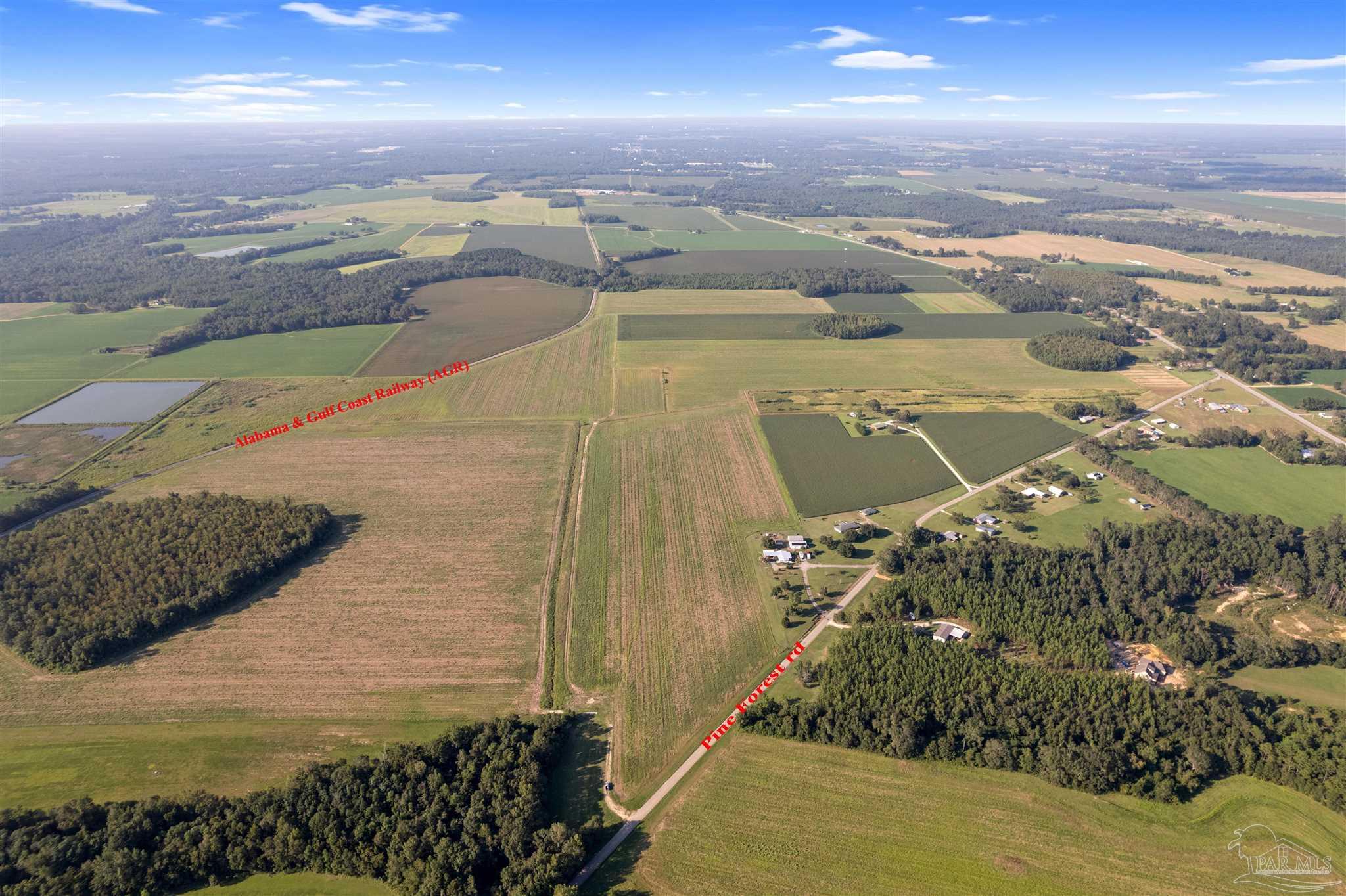 5700-block Pine Forest Road Walnut Hill, FL 32568 - Photo 25 of 44