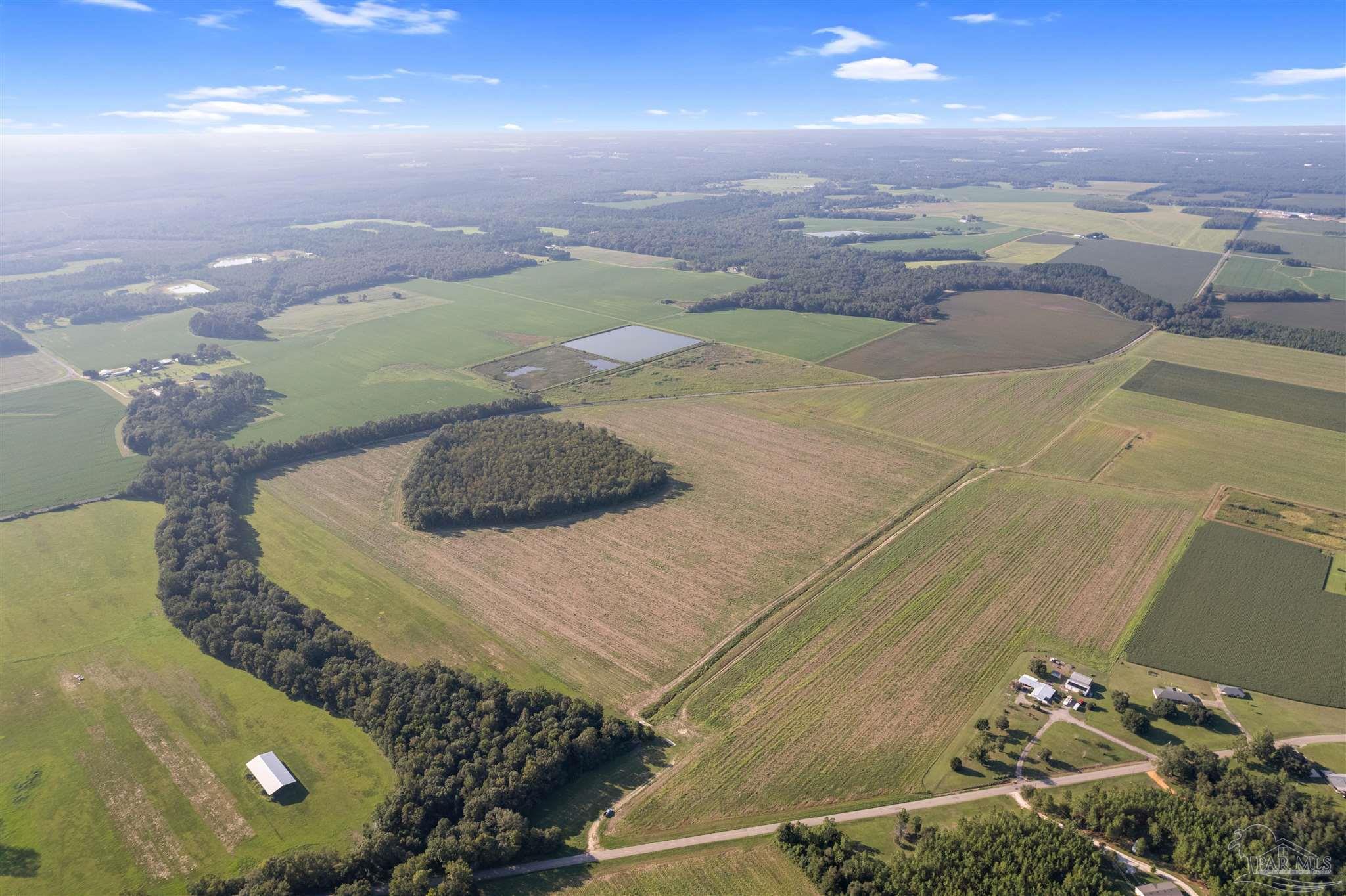 5700-block Pine Forest Road Walnut Hill, FL 32568 - Photo 26 of 44 a view of a swimming pool