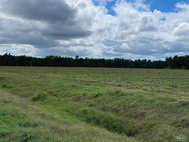 a view of a lake from a yard