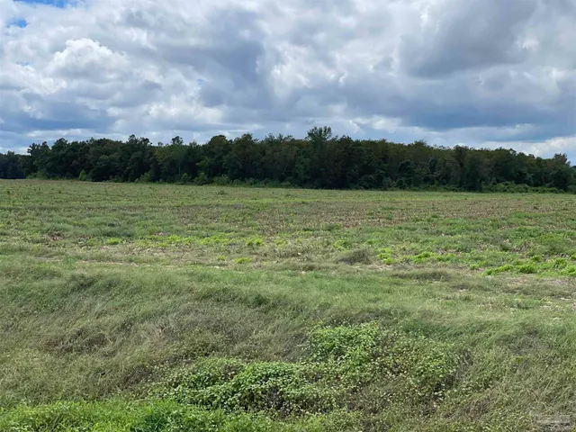 a view of a big yard with beach