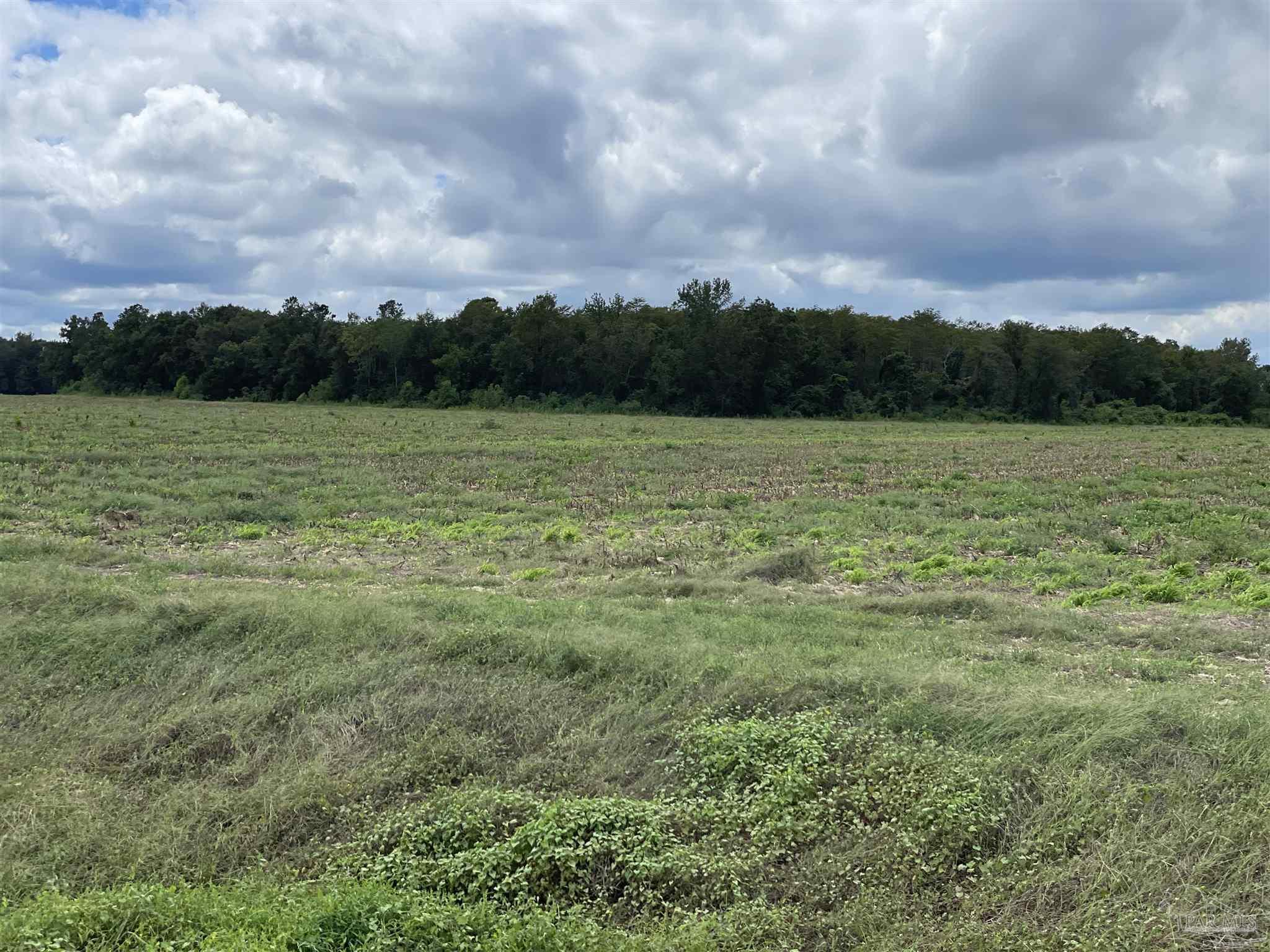 5700-block Pine Forest Road Walnut Hill, FL 32568 - Photo 28 of 44 a view of a lake with green space