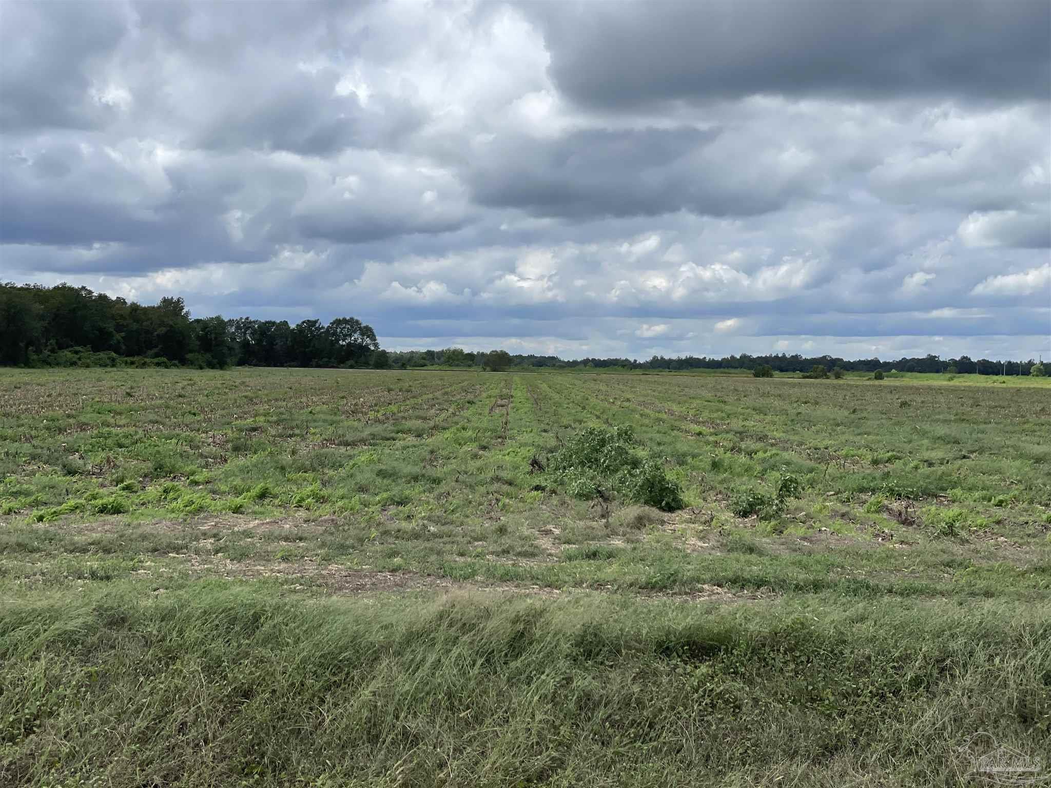 5700-block Pine Forest Road Walnut Hill, FL 32568 - Photo 29 of 44 a view of a field with an ocean