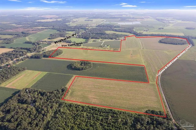 a view of beach and ocean