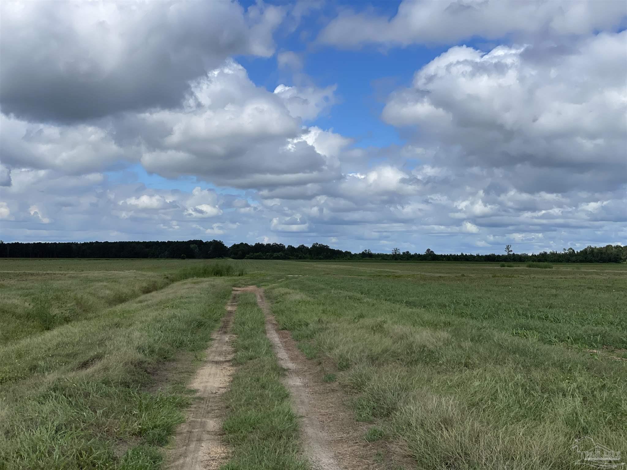5700-block Pine Forest Road Walnut Hill, FL 32568 - Photo 31 of 44 a view of a lake from a yard