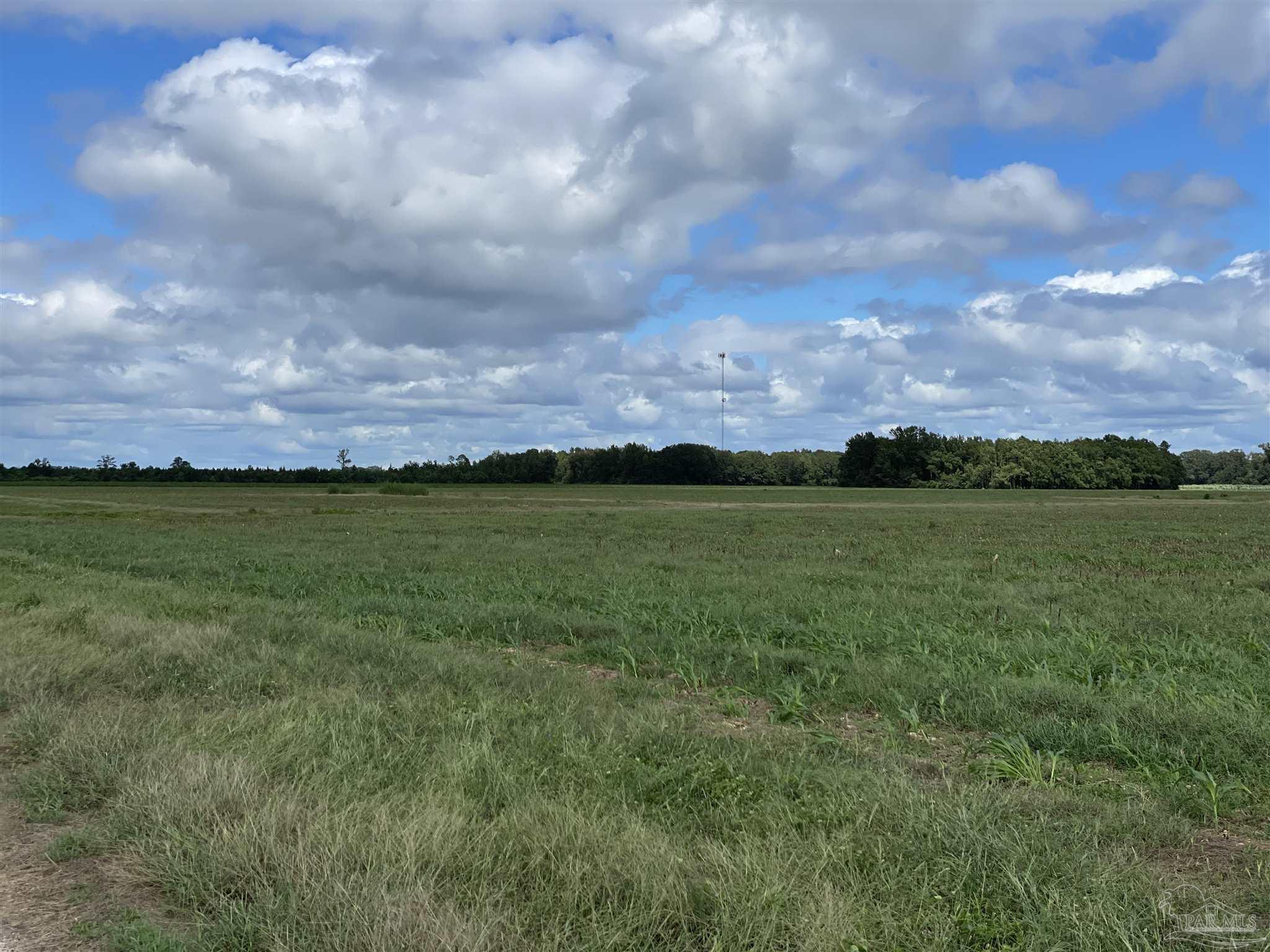 5700-block Pine Forest Road Walnut Hill, FL 32568 - Photo 32 of 44 a view of a big yard with beach