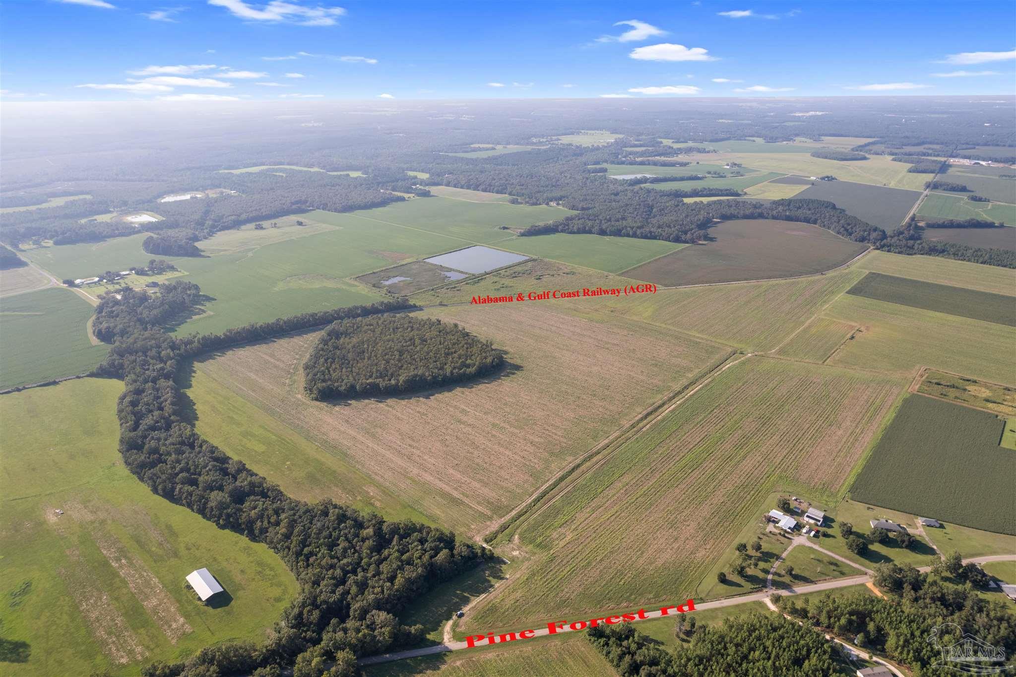 5700-block Pine Forest Road Walnut Hill, FL 32568 - Photo 33 of 44 a view of a entryway