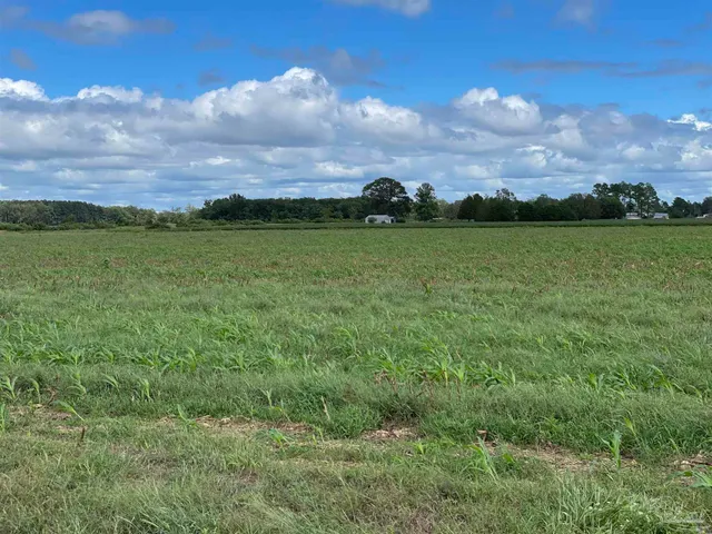 a view of a lake from a yard