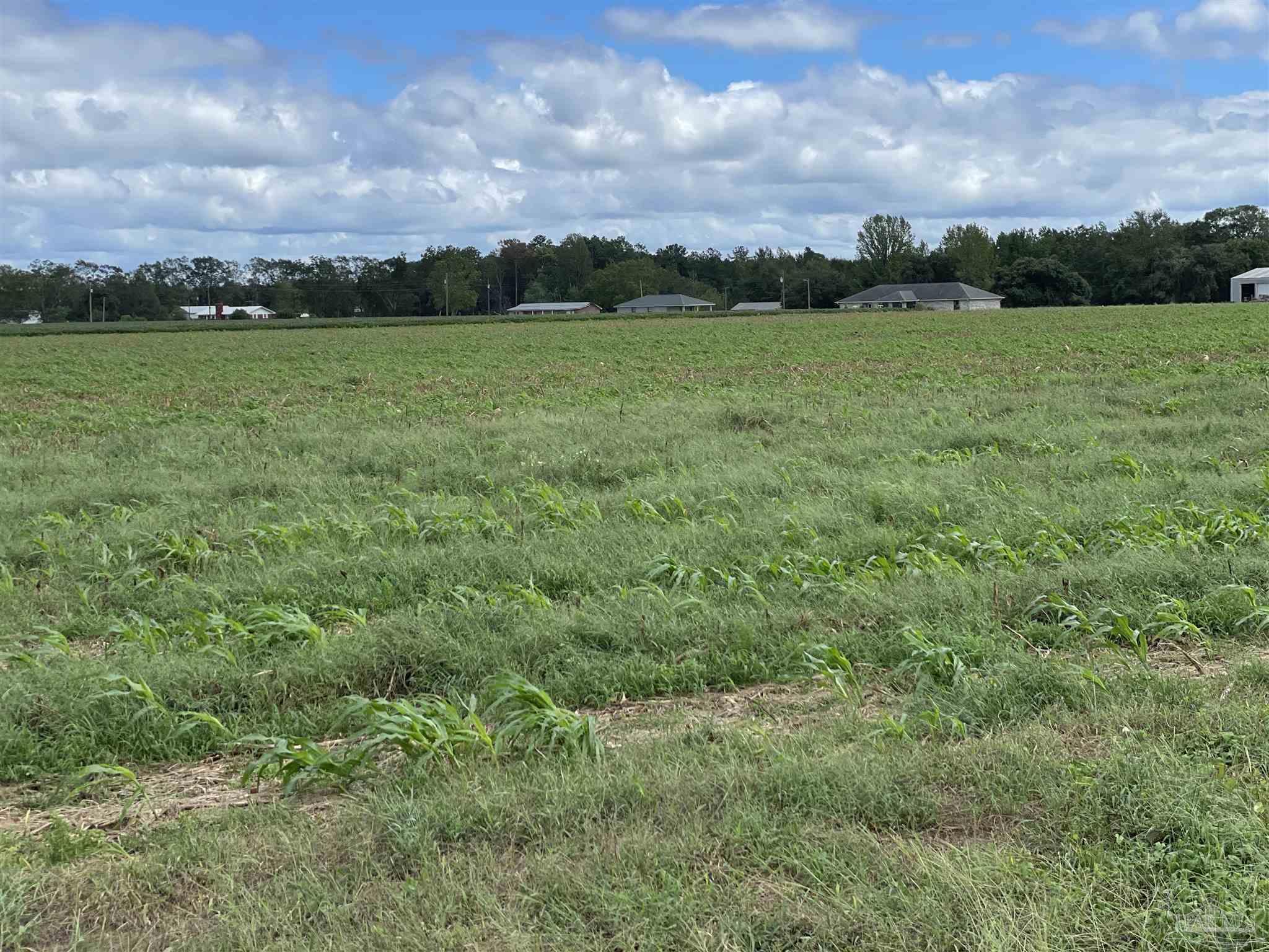 5700-block Pine Forest Road Walnut Hill, FL 32568 - Photo 37 of 44 a view of an ocean and a yard