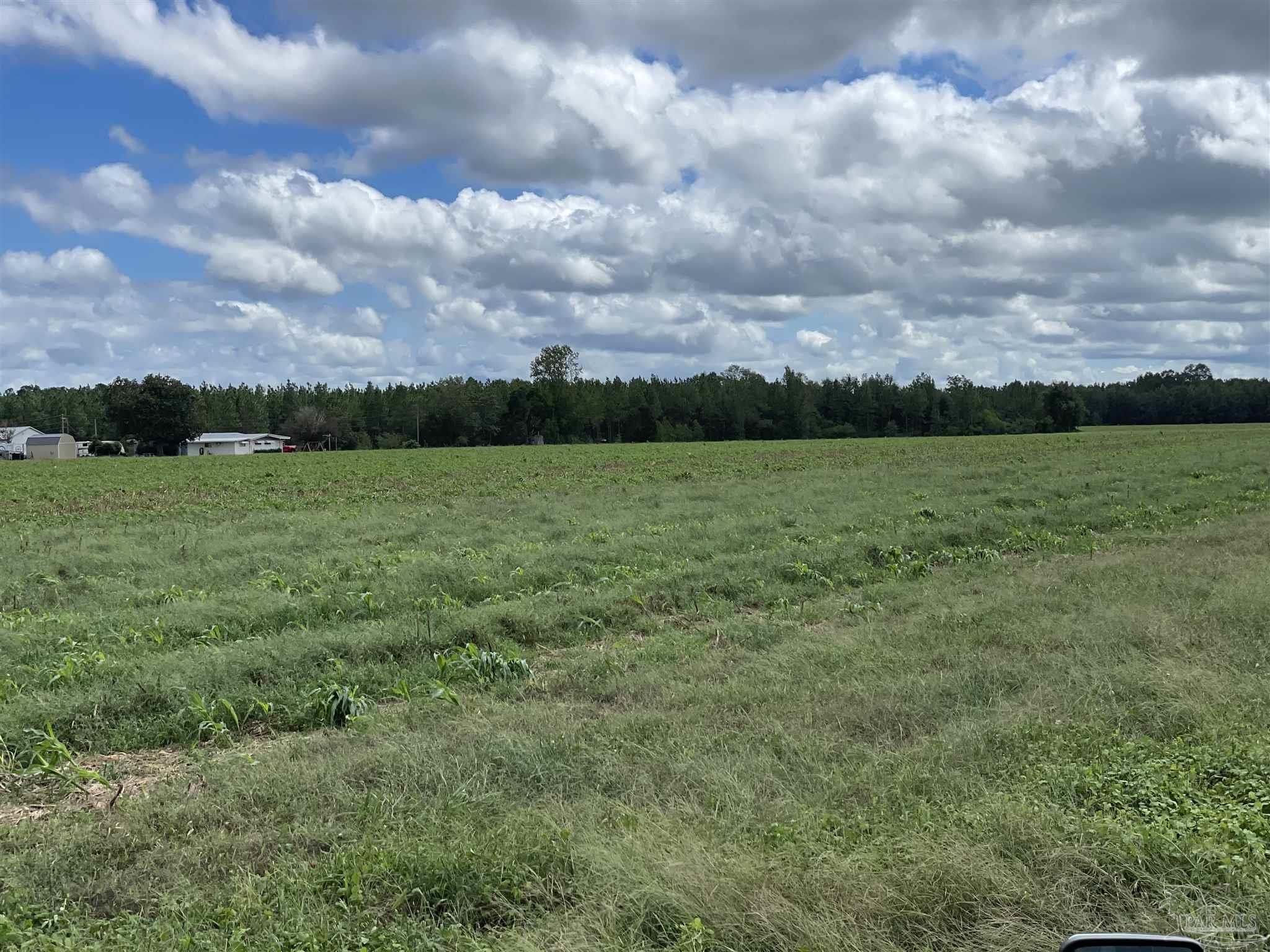 5700-block Pine Forest Road Walnut Hill, FL 32568 - Photo 38 of 44 a view of an outdoor space and a yard
