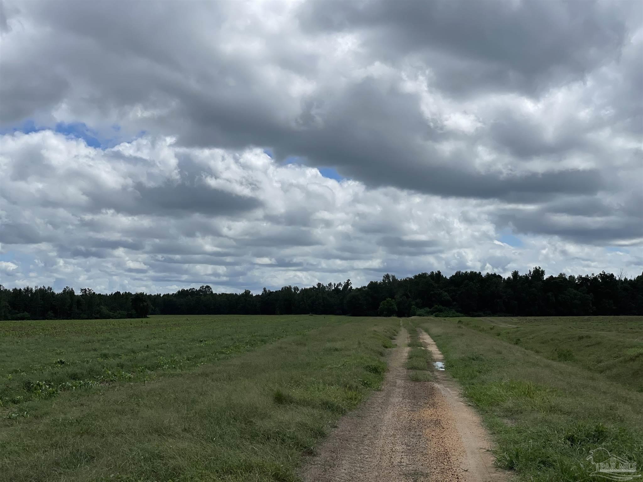 5700-block Pine Forest Road Walnut Hill, FL 32568 - Photo 39 of 44 a view of a yard and an outside view