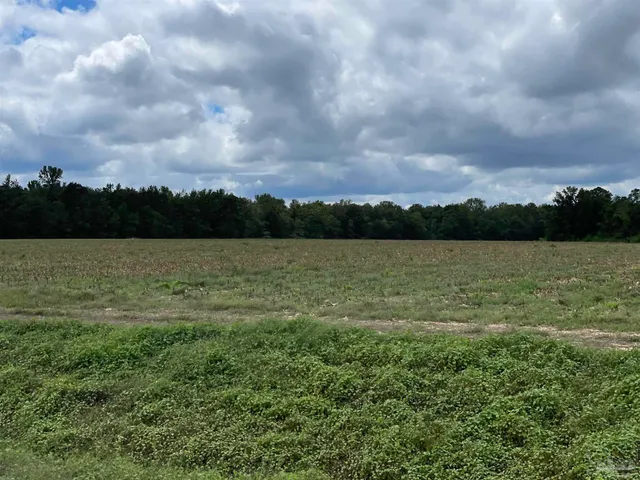 aerial view of houses with city street