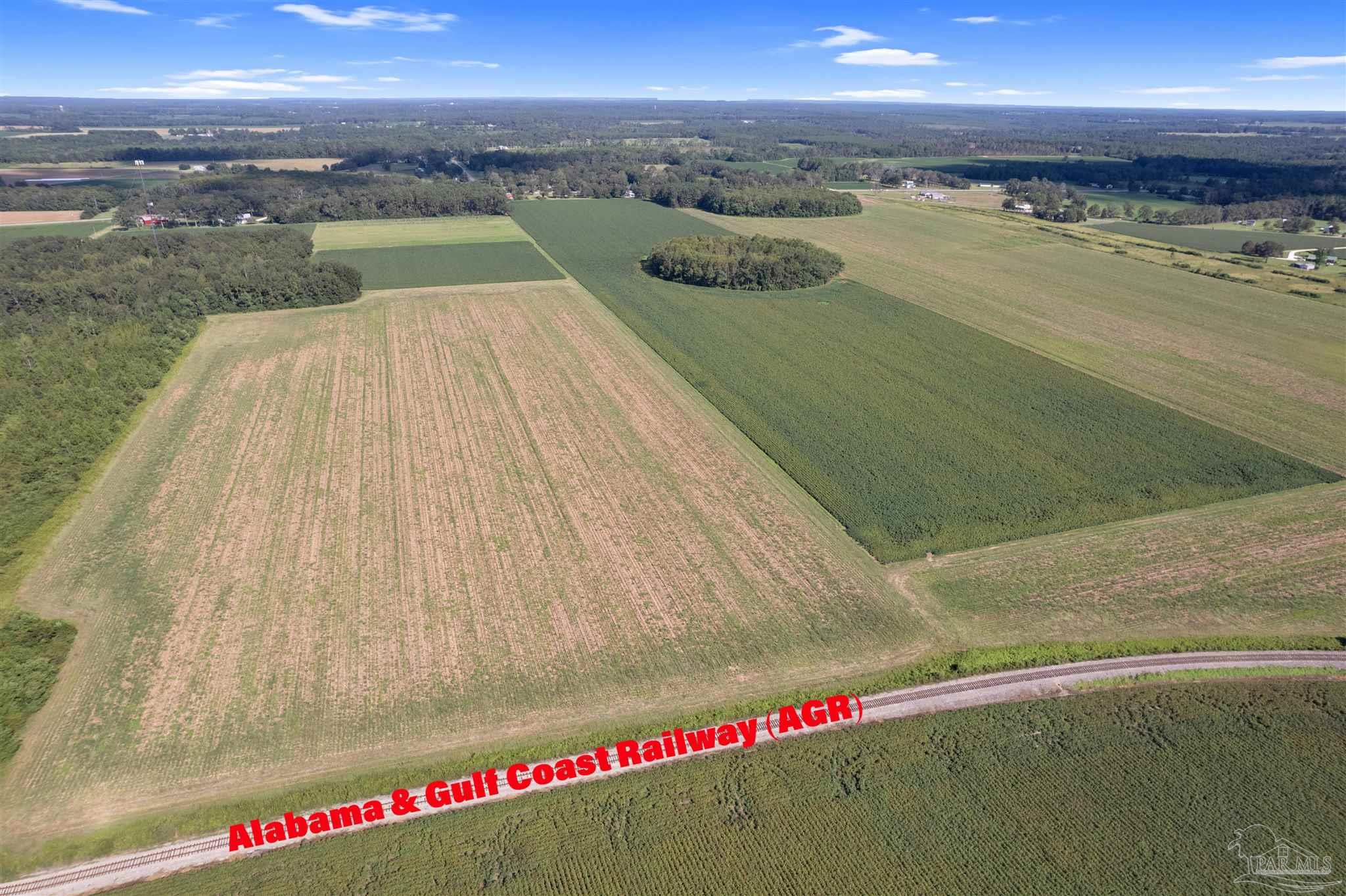 5700-block Pine Forest Road Walnut Hill, FL 32568 - Photo 4 of 44