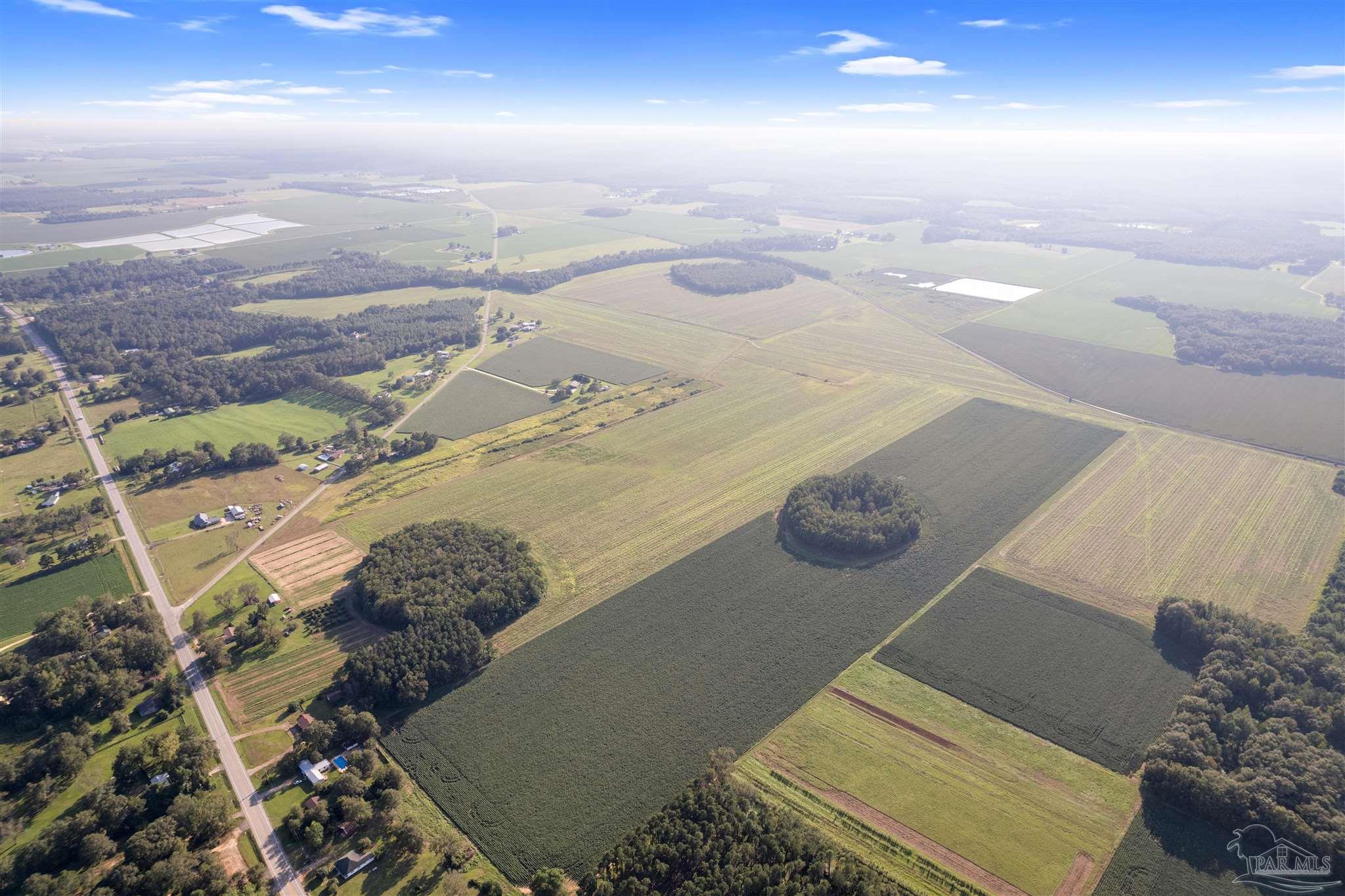 5700-block Pine Forest Road Walnut Hill, FL 32568 - Photo 42 of 44 an aerial view of a house