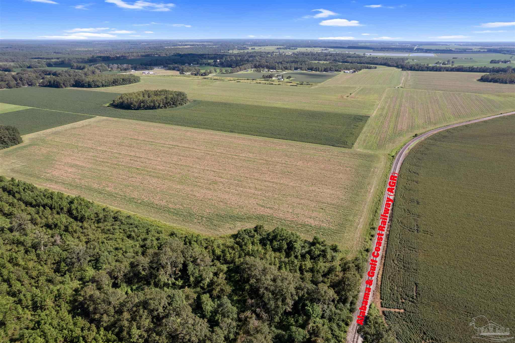 5700-block Pine Forest Road Walnut Hill, FL 32568 - Photo 5 of 44