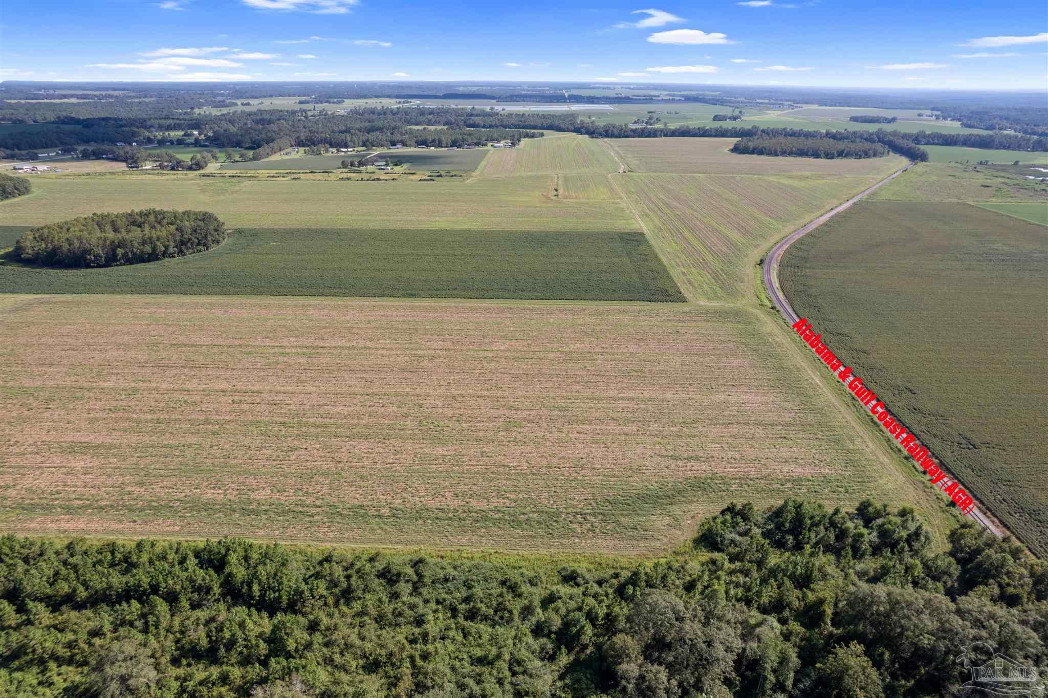 5700-block Pine Forest Road Walnut Hill, FL 32568 - Photo 7 of 44