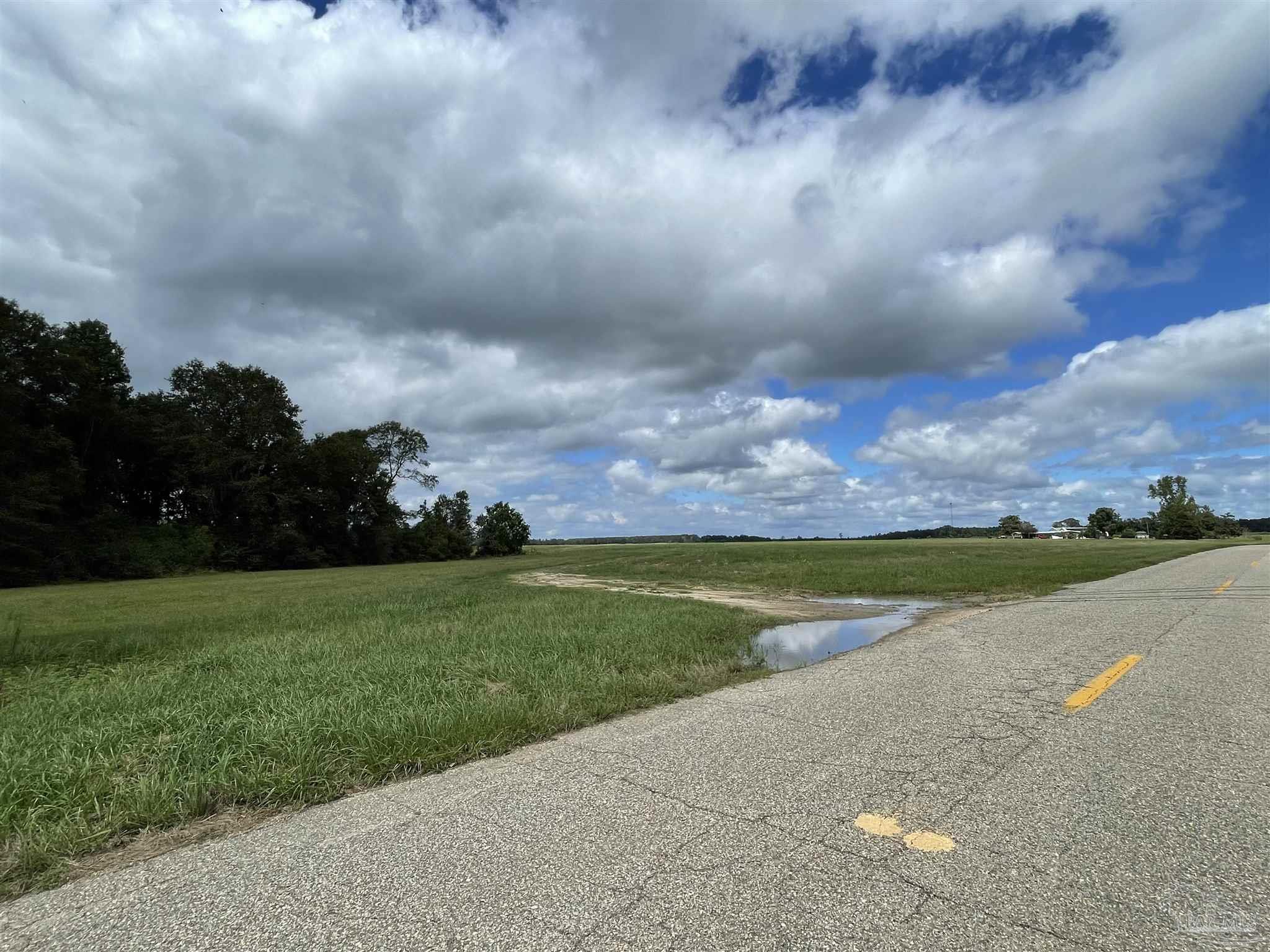 5700-block Pine Forest Road Walnut Hill, FL 32568 - Photo 10 of 44