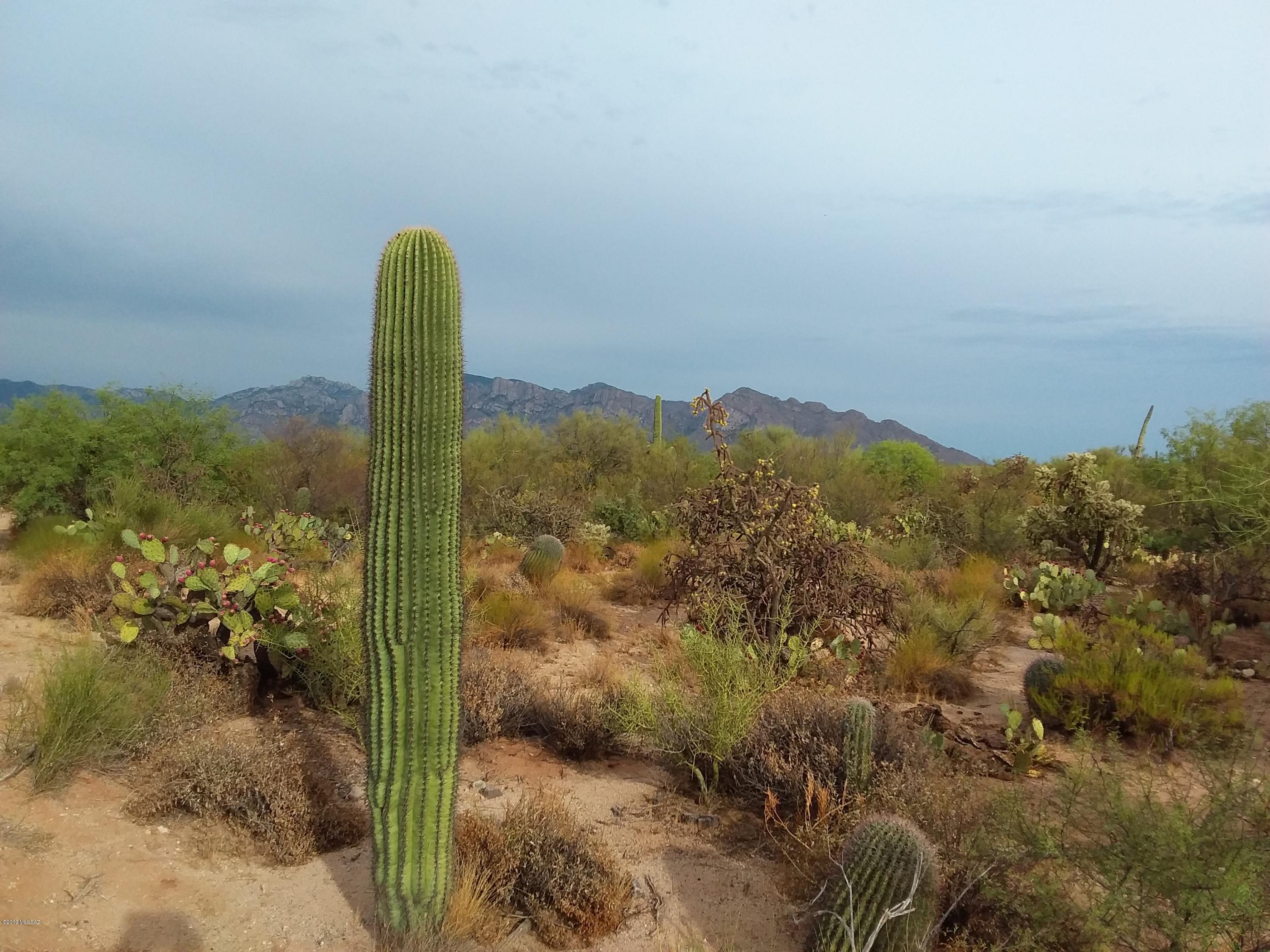 2315 West Tangerine Road Tucson, AZ 85742 - Photo 13 of 27