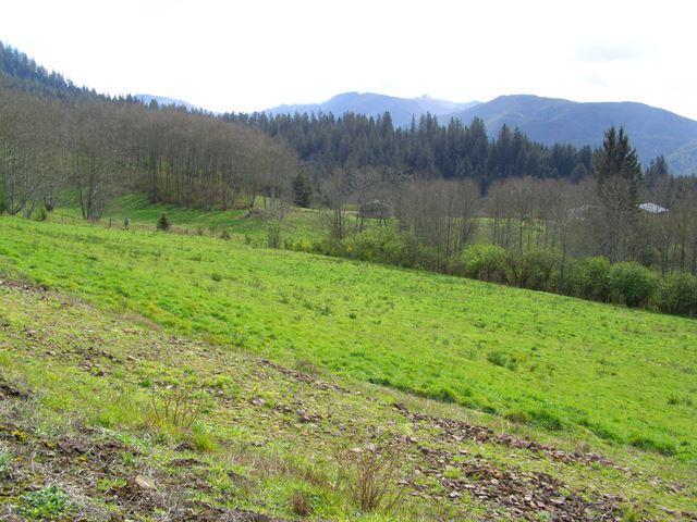 Lot 26 Skyview Road Tillamook, OR 97141 - Photo 1 of 10 20191127235129611001000000-o
