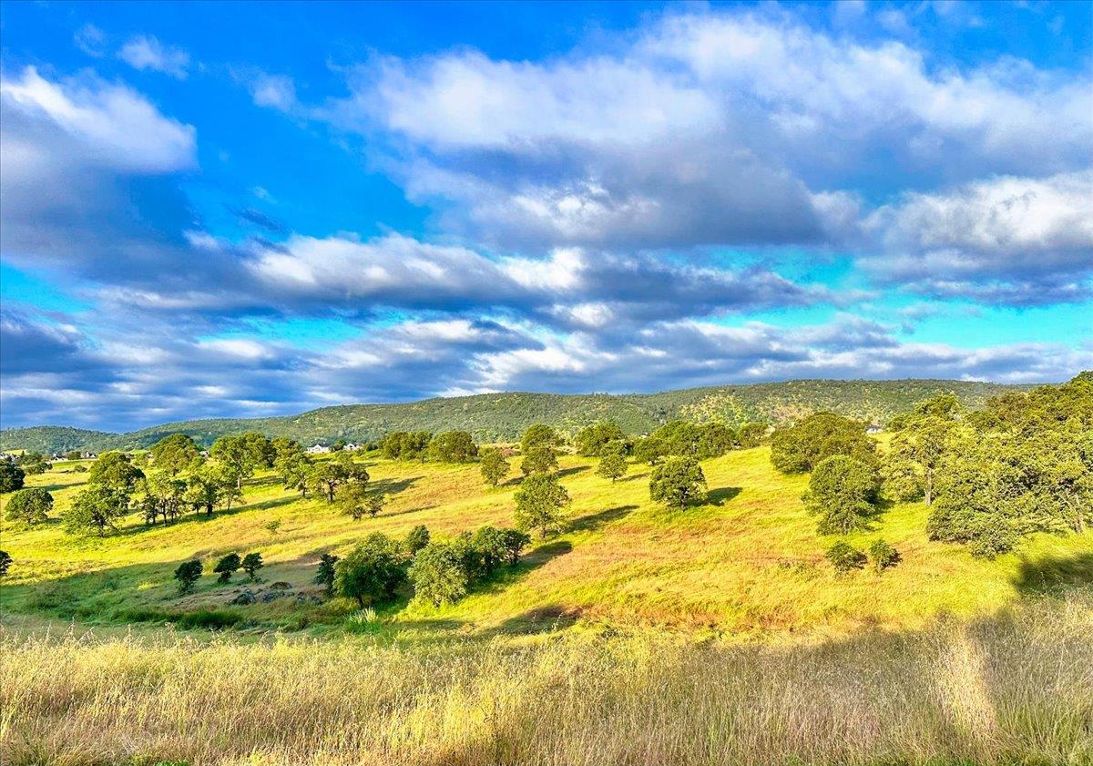 300 Rock Ridge Lane Copperopolis, CA 95228 - Photo 37 of 99 Green rolling hills in Spring.