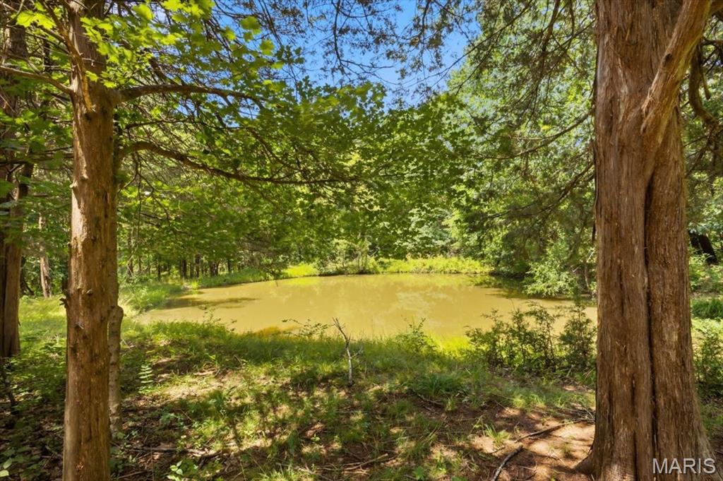 2631 South Mangan Road Pacific, MO 63069 - Photo 4 of 63 Gallery Image 4