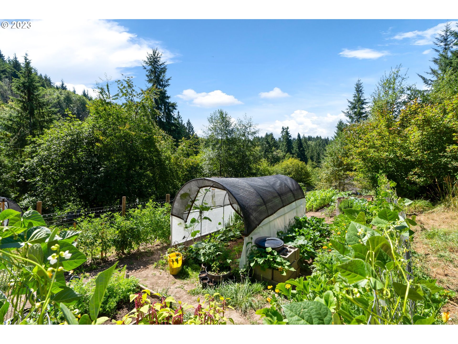 219 Halliday Road Centralia, WA 98531 - Photo 33 of 40 Gallery Image 33