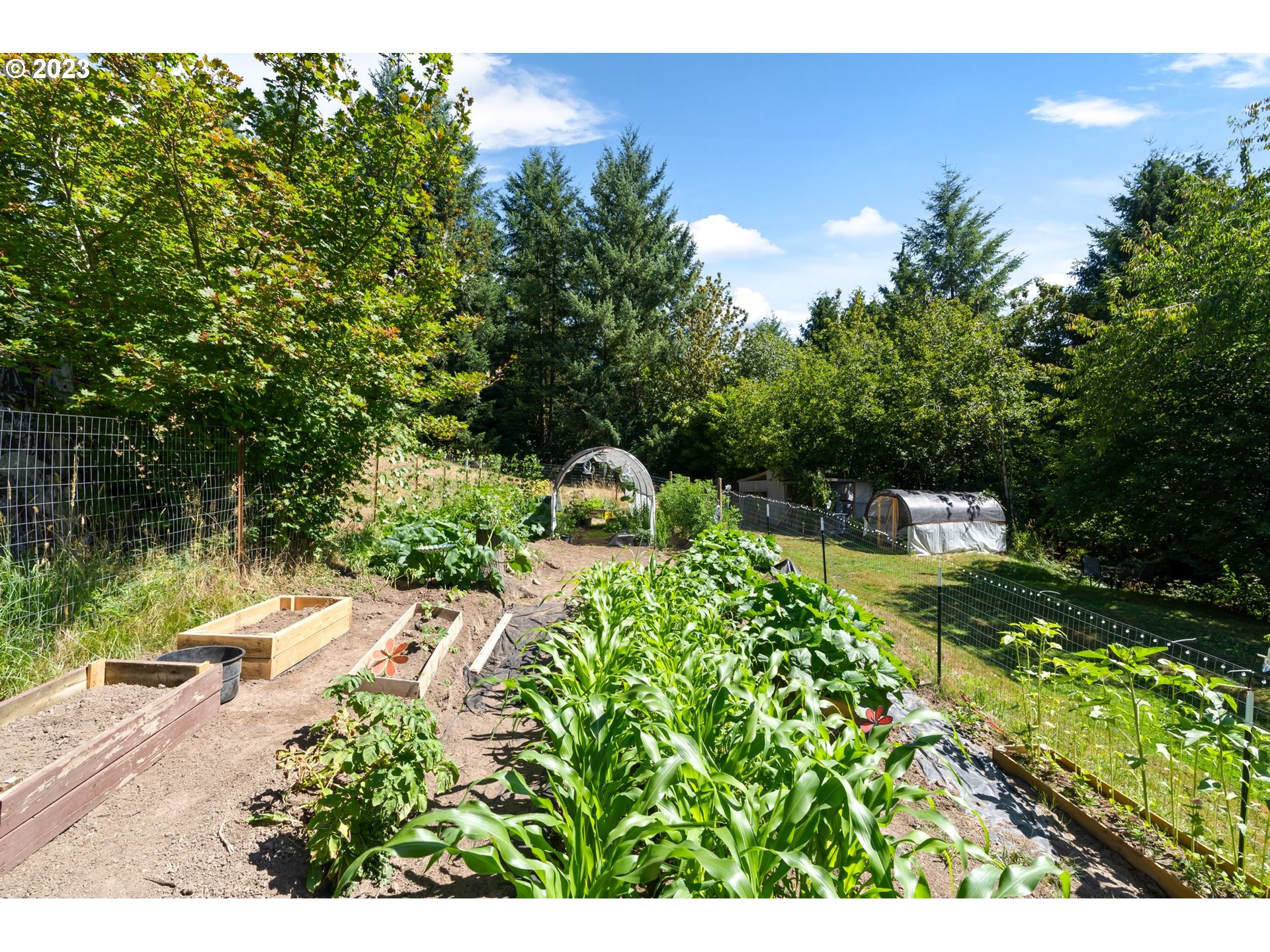 219 Halliday Road Centralia, WA 98531 - Photo 34 of 40 Gallery Image 34