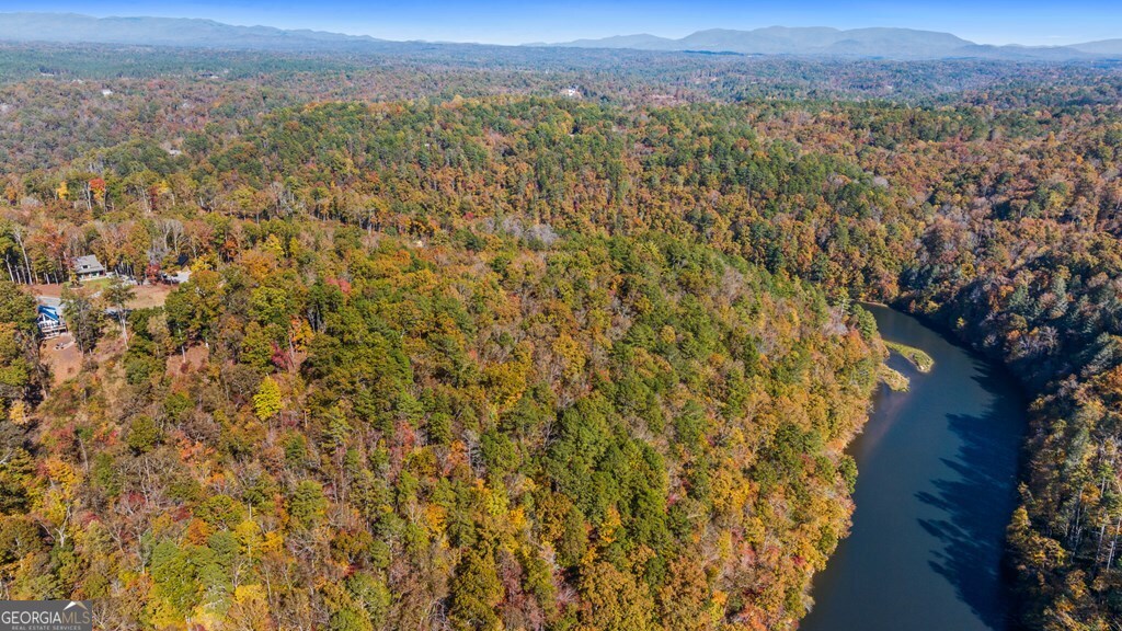 Lot 58 Ridge Line Trail Ellijay, GA 30540 - Photo 13 of 24
